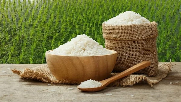 تصویر 4 از فروش برنج عنبر شوشتر + قیمت خرید به صرفه